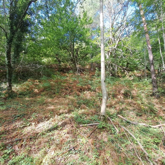  ARDECHE LOZERE IMMOBILIER : Terrain | GENOLHAC (30450) | 14 472 m2 | 18 000 € 