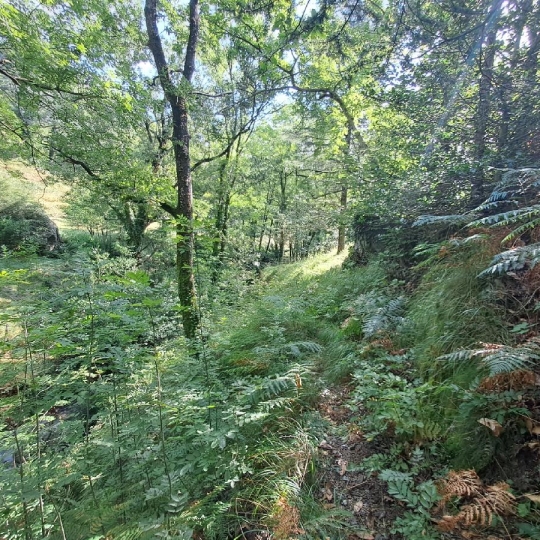  ARDECHE LOZERE IMMOBILIER : Terrain | GENOLHAC (30450) | 14 472 m2 | 18 000 € 