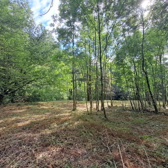  ARDECHE LOZERE IMMOBILIER : Terrain | GENOLHAC (30450) | 14 472 m2 | 18 000 € 