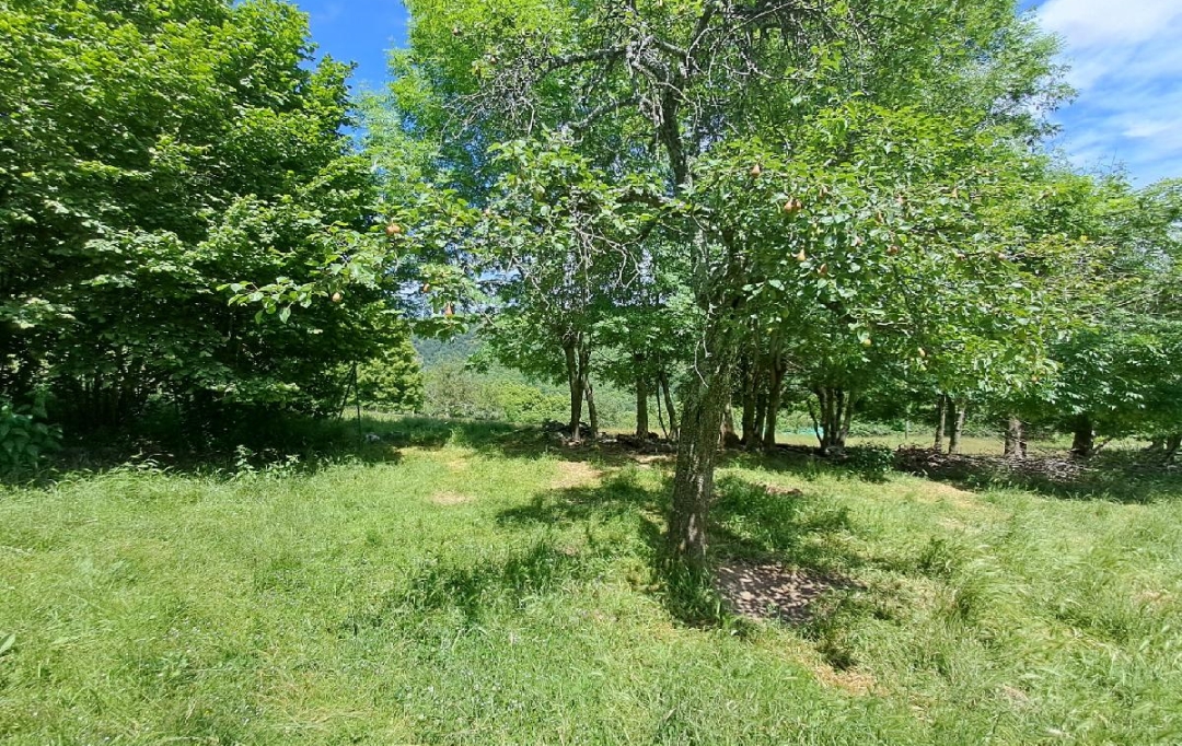 ARDECHE LOZERE IMMOBILIER : Terrain | POURCHARESSES (48800) | 1 440 m2 | 65 000 € 