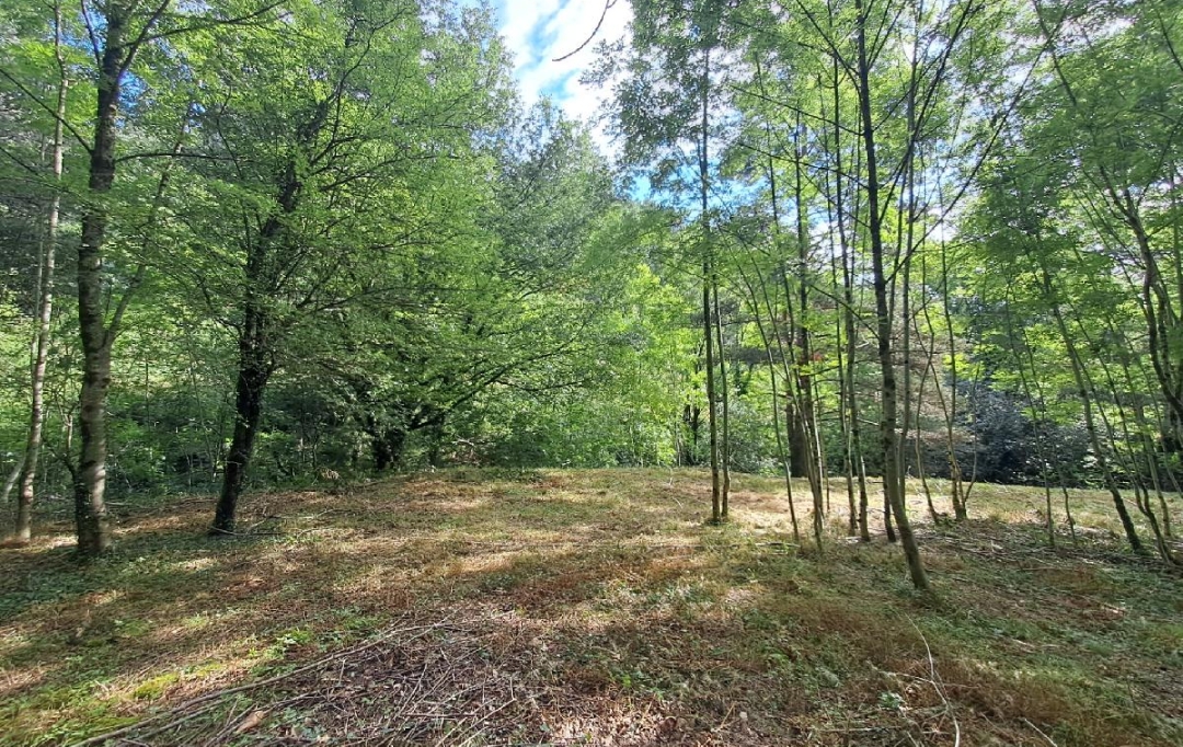 ARDECHE LOZERE IMMOBILIER : Terrain | GENOLHAC (30450) | 14 472 m2 | 18 000 € 