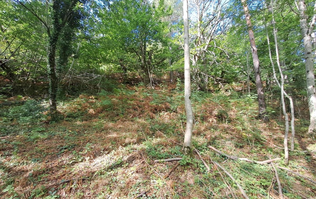 ARDECHE LOZERE IMMOBILIER : Terrain | GENOLHAC (30450) | 14 472 m2 | 18 000 € 