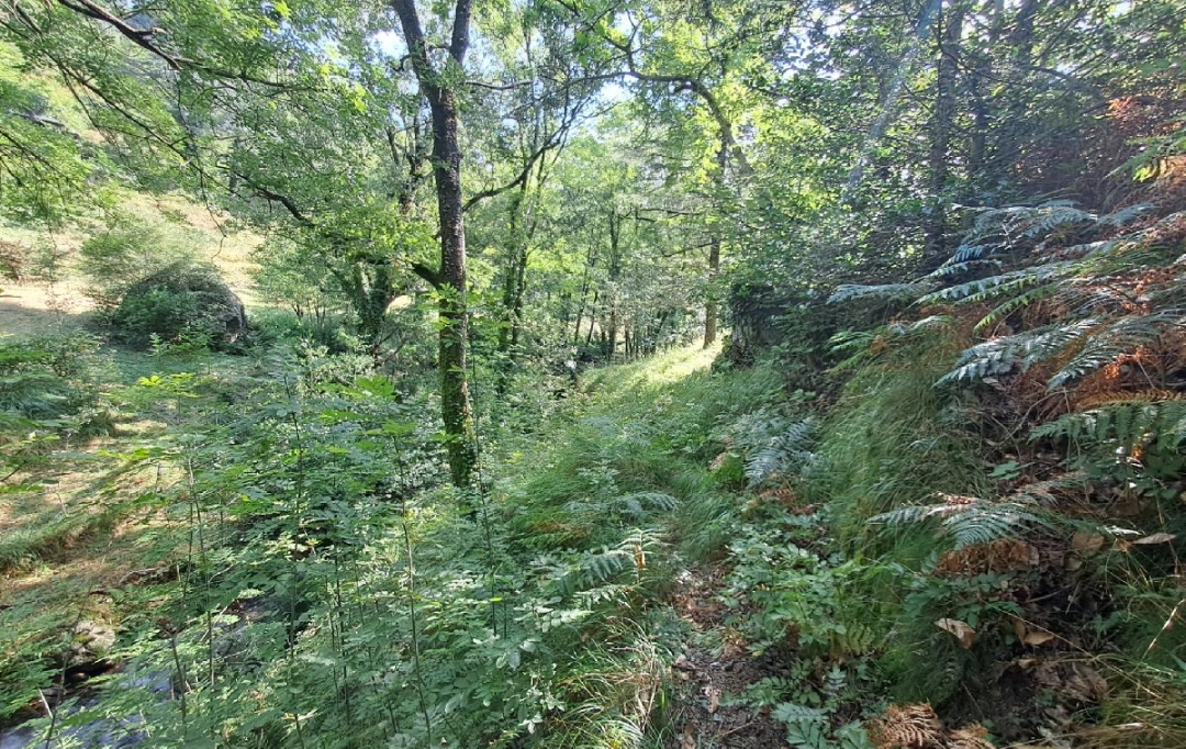 ARDECHE LOZERE IMMOBILIER : Terrain | GENOLHAC (30450) | 14 472 m2 | 18 000 € 